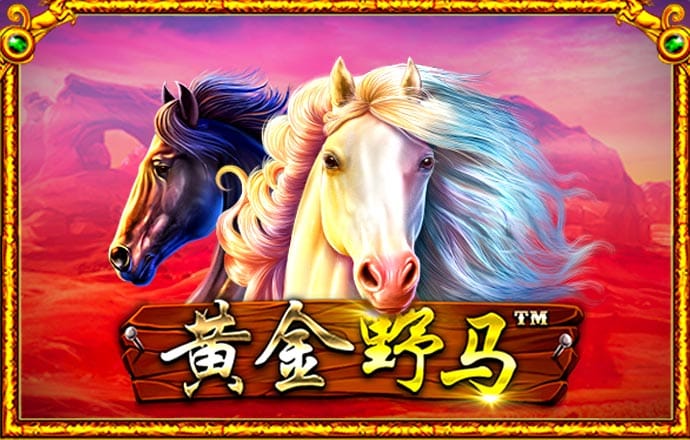 威斯尼斯wns88888